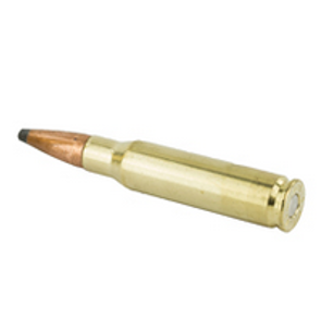 .308 Winchester